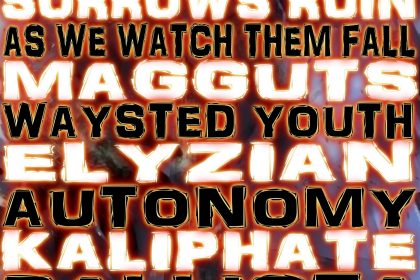 13184769_578547425652330_902118035_o